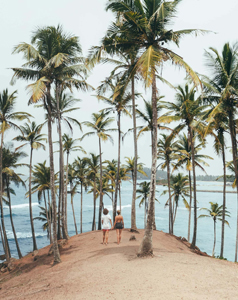 Ceylon Island Trails