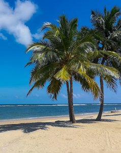 Ceylon Island Trails