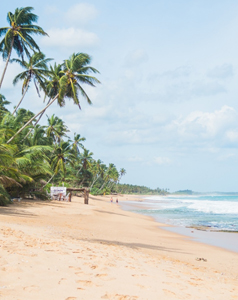Ceylon Island Trails