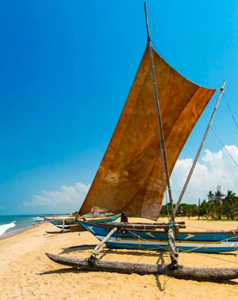 Ceylon Island Trails