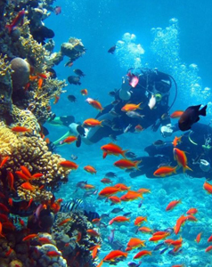 Ceylon Island Trails