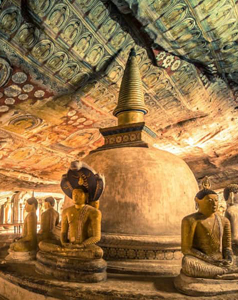 Ceylon Island Trails