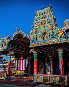 Ceylon Island Trails