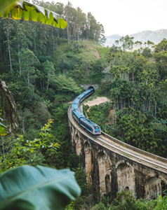Ceylon Island Trails