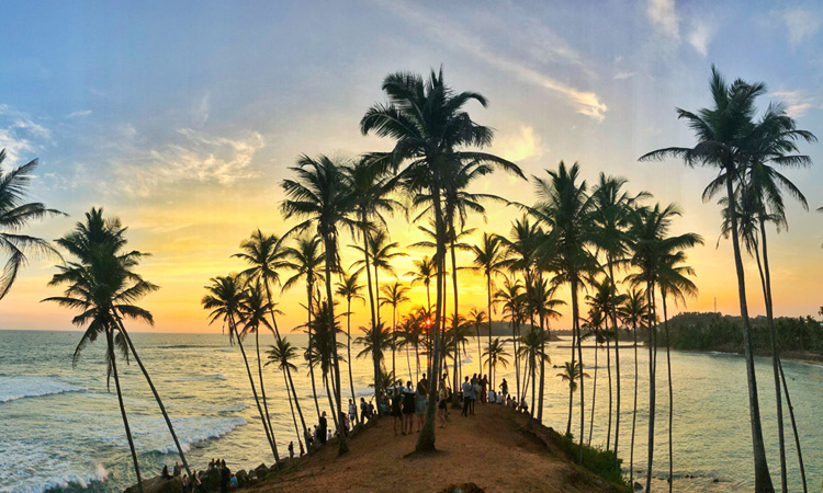 Ceylon Island Trails