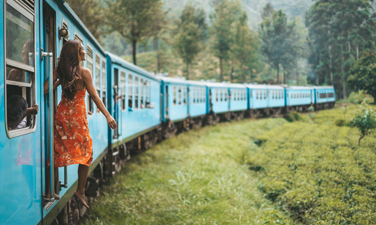 Ceylon Island Trails