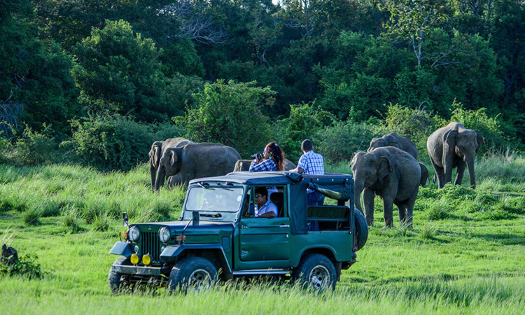 Ceylon Island Trails