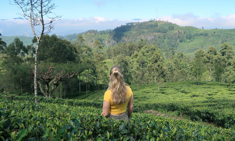 tour-listing-details-slide