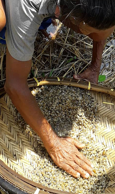 Ceylon Island Trails