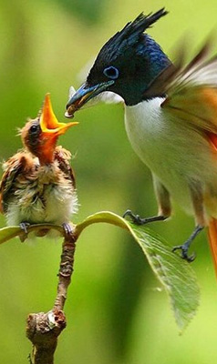 Ceylon Island Trails